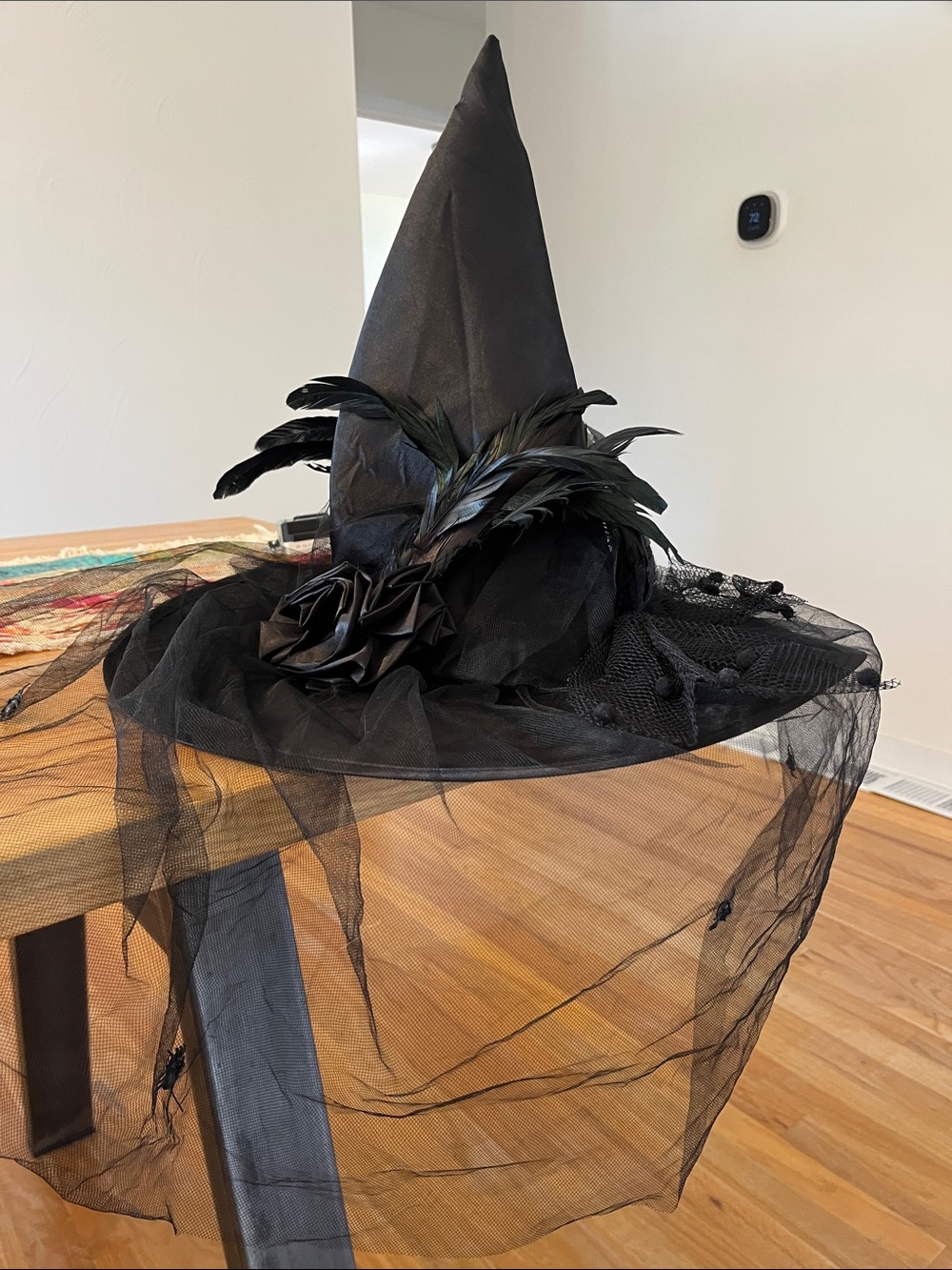 Halloween Black Witch Hat with Feather Accent